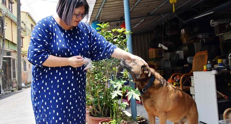 黃培怡認為主人和飼主的關係,應該是像家人般,再平凡不過的日常相處。(呂妍庭攝)
