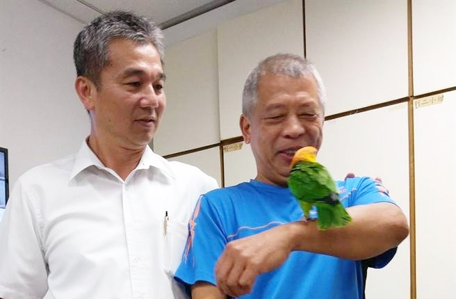「金頭綠腿凱克」鸚鵡日前不慎從主人家中走失,迷途中撞上淡水警分局的2樓窗戶發出巨響,在警員協助下終於與飼主團圓。(譚宇哲翻攝)