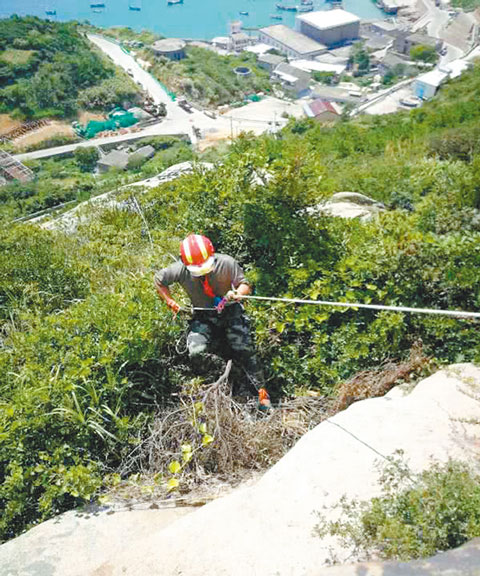 金浩每天做2到4小時的體能訓練。(取自浙江之聲)