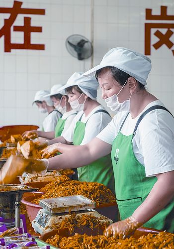 重慶涪陵一榨菜生產廠家的工人將榨菜成品裝入包裝袋裡。(新華社資料照片)