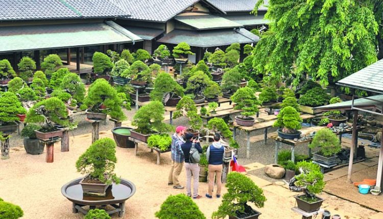 小林國雄貸款10億日圓將位於東京江戶川區的自宅打造成「春花園BONSAI美術館」。（黃菁菁攝）