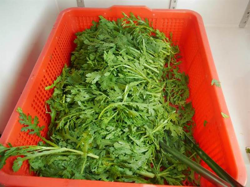 「一鍋羊肉」除了各式羊肉,新鮮蔬果、火鍋配料更是一應俱全,滿滿大冰櫃不怕客人吃,且都有專人整理、補貨,乾淨整潔。(蔡依珍攝)