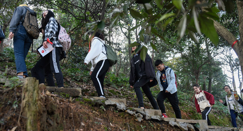 仁者樂山。圖為11月10日,杭州大學生登山。(新華社資料照片)