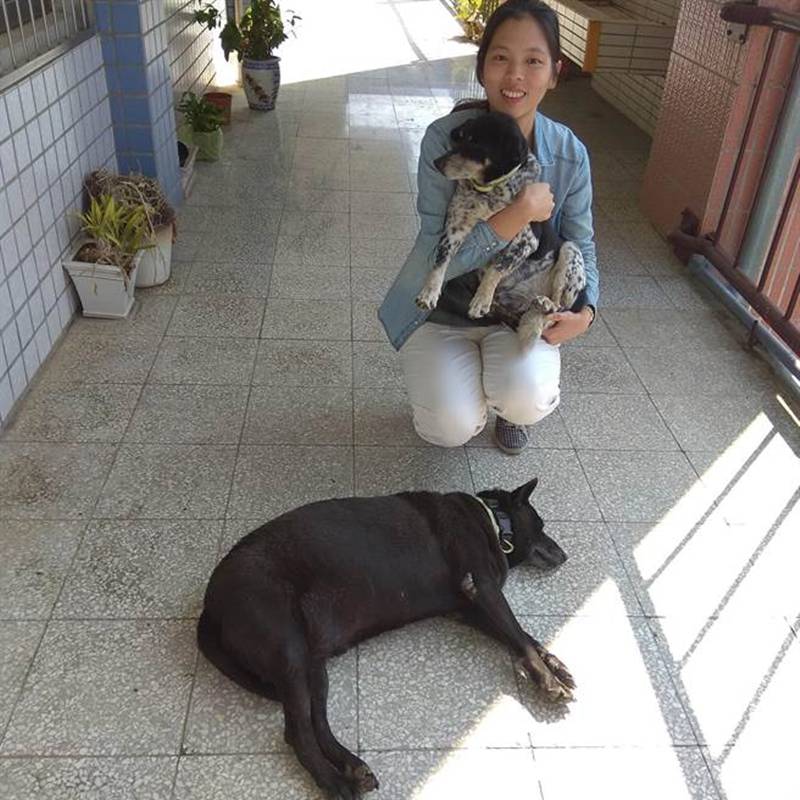 楠西國中體衛組長蘇郁珺老師與校狗牛牛、旺來。(劉秀芬攝)