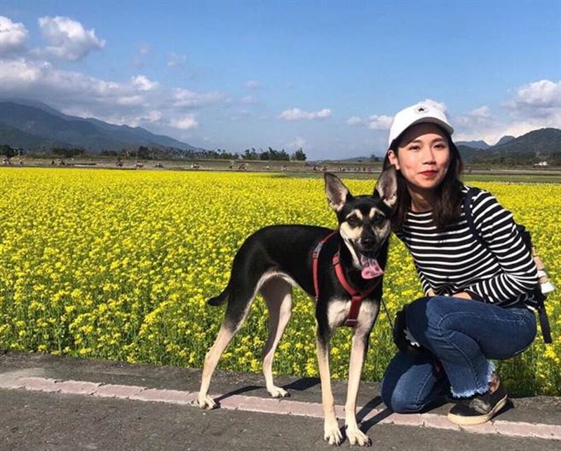飼主游蓓茹在領養「幼幼」後,體悟每個個體都是獨特且特別的存在。(張立勳翻攝)