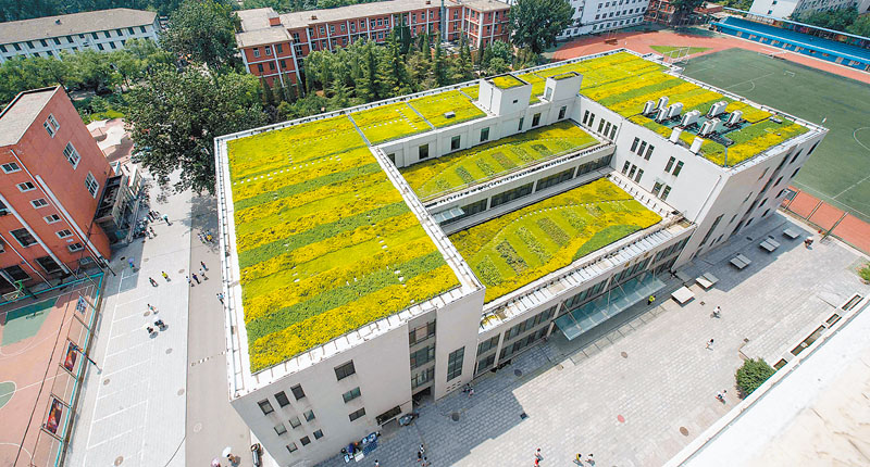 北京綠色向屋頂延伸 北京中醫藥大學綠色生態屋頂。(新華社資料照片)