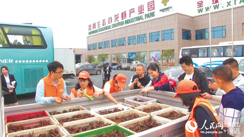 小龍蝦主題旅行社發布3條旅遊路線。(取自人民網)