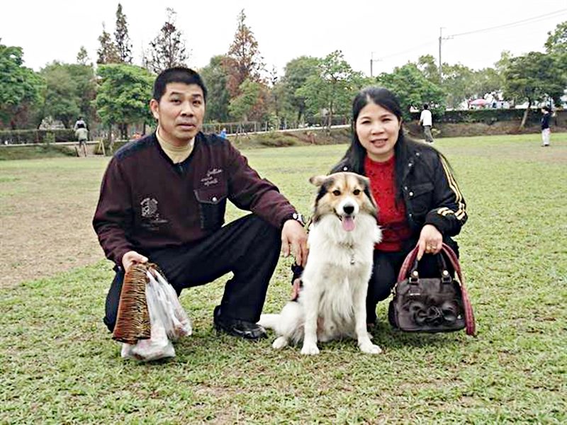 自從收養了咪嚕後,咪嚕相當顧家,尤其是最愛黏著蔡媽媽。(馮惠宜翻攝)