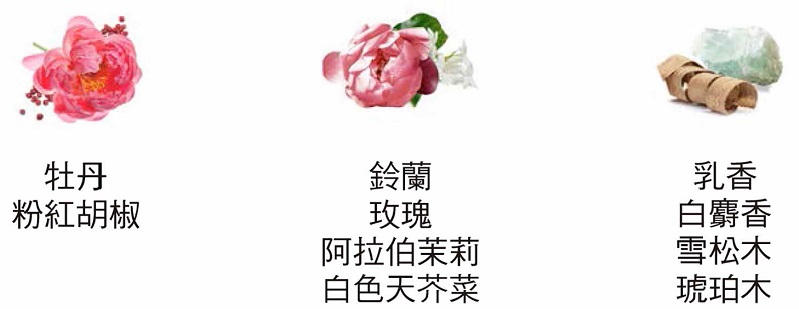 Engelsrufer天使之翼 遇見愛女性淡香精 寵愛母親的浪漫系女香 香調圖
