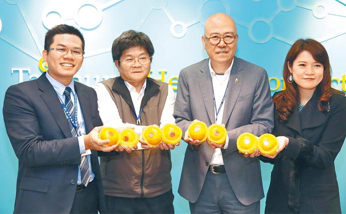 3月18日,台中市府到大陸促進農產貿易交流,希望大陸採購當季水果茂谷柑300公噸。(本報系資料照片)