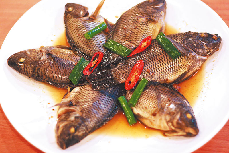 台灣鯛就是吳郭魚,雲林口湖的台灣鯛品質超優,沒有土味。(本報系資料照片)