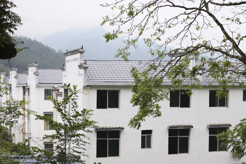 2019年大陸房地產市場預計銷售回落。圖為江西瑞金華屋村。(新華社資料照片)