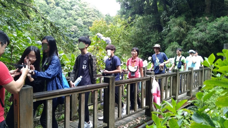 溪頭自然教育園區徒步健行,五天四夜的「森林浴」,讓身心靈都得到洗滌。(圖片來源:台北市政府教育局)