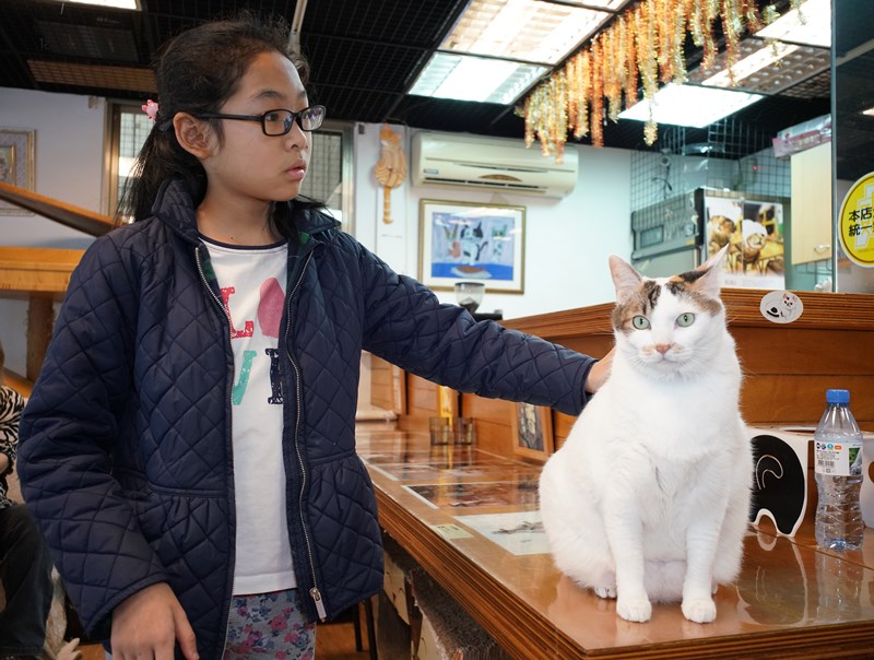 林心儀認為,從小就得在孩子們身上培養生命可貴的觀念,教育他們生命的價值與對任何生命都要有一個平等的對待。(季志翔攝)