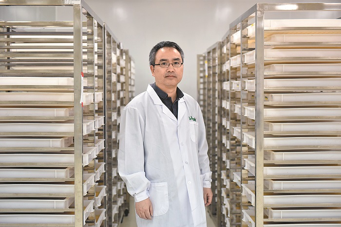 奚志勇教授在「蚊子工廠」的幼蟲飼養區裡。(新華社資料照片)