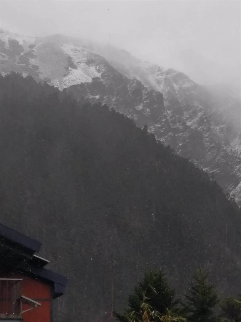 排雲山莊冰霰夾雪花!(玉管處提供/廖志晃南投傳真)