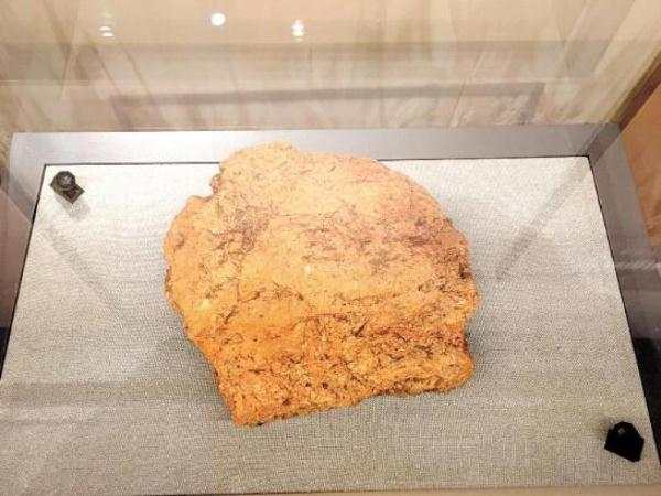 5000年前的「碳化稻穀」。(取自微博@湖北日報)