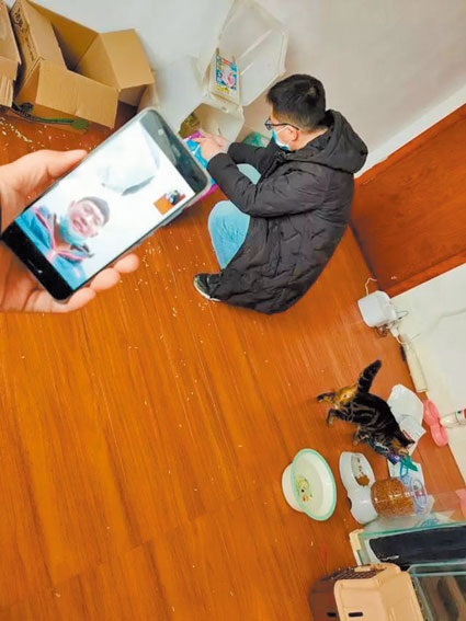 救助過程,志工會和主人保持視訊。(取自微信公眾號武漢市小動物保護協會)