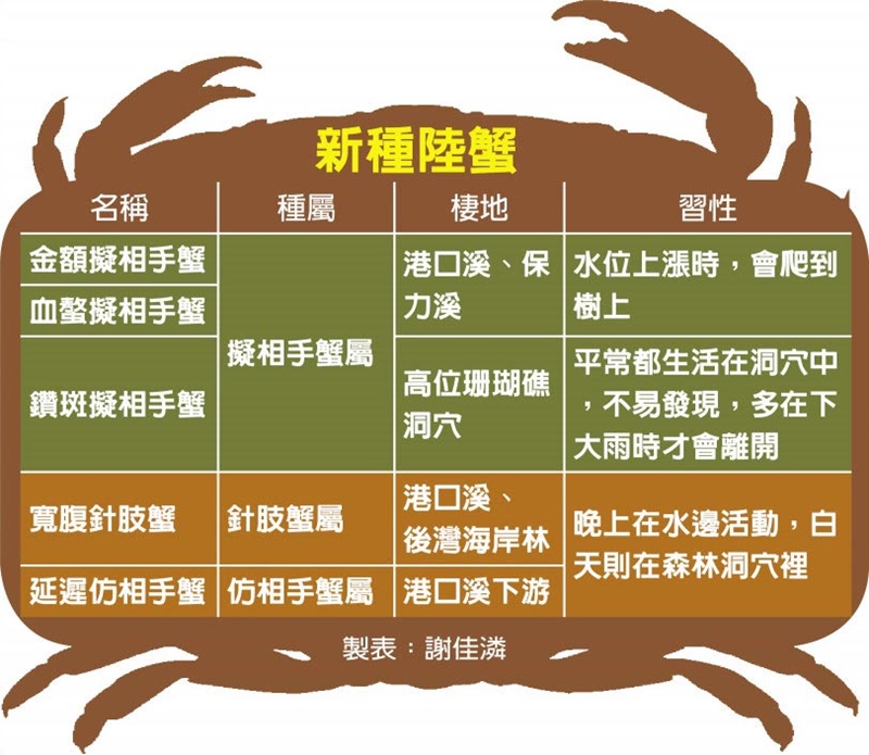 新種陸蟹