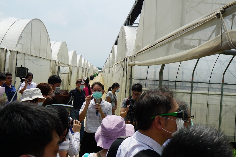 桃改場劉廣泉副研究員介紹設施葉菜田間管理技術