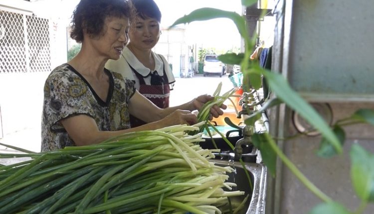 澎湖知名牛肉麵店老闆何東芳(右)嫁來台灣20年，她經營知名麵館，婆婆(左)不僅全力支持，也是她的得力助手。(黃子明攝)