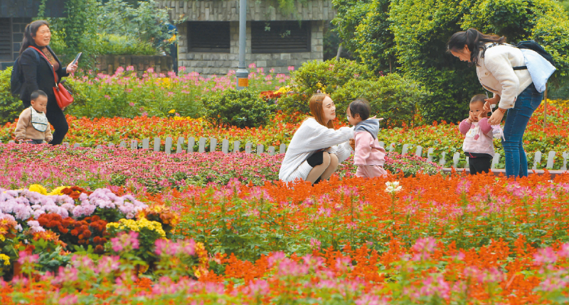 重慶是網紅旅遊城市。圖為10月19日,遊客在重慶觀音橋街心公園中遊玩。 (中新社資料照片)