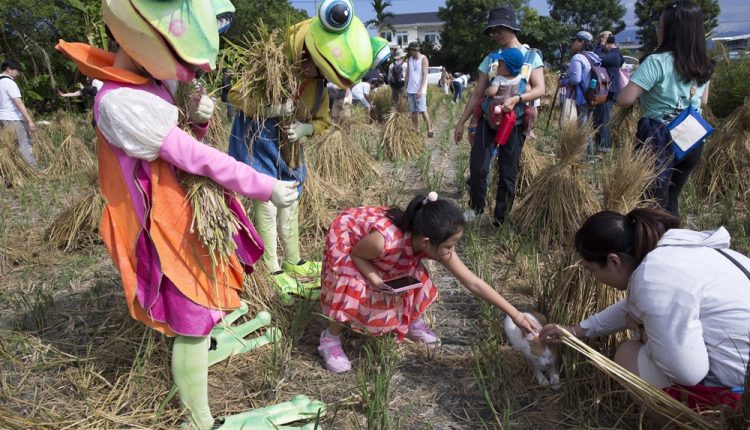 深溝小農舉辦割稻活動，邀來藝文表演團體與民眾互動，也為農村帶來文化氣息。（黃子明攝）