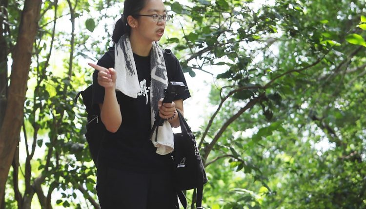 2010年開始，林美吟發起壽山的獼猴導覽團，帶領民眾上山近距離觀察台灣獼猴的真正的模樣，並且透過獼猴之間的社交習性觀察，真實地走進猴群中去理解牠們。(季志翔攝)