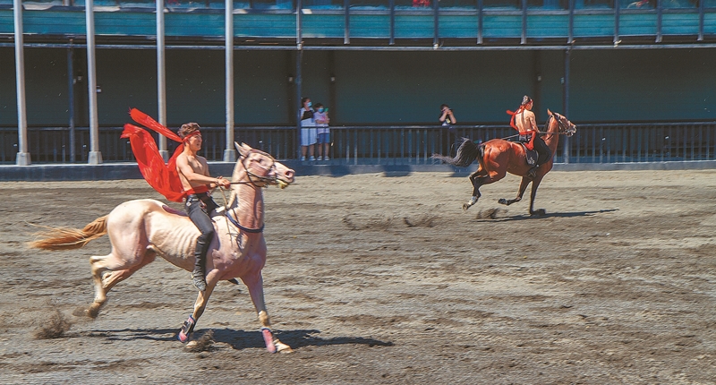 培育汗血寶馬的陸企野馬集團,期盼能建立汗血寶馬的專屬競速賽事。(吳泓勳攝)
